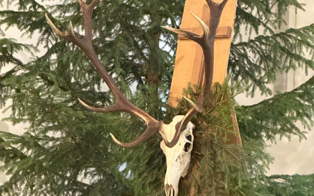 Hubertusmesse und traditionelle Hubertusfeier im Kloster Schönbrunn